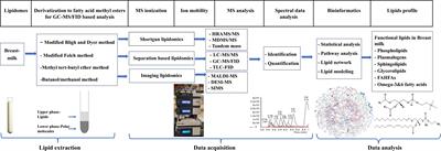 Role of lipidomics in assessing the functional lipid composition in breast milk